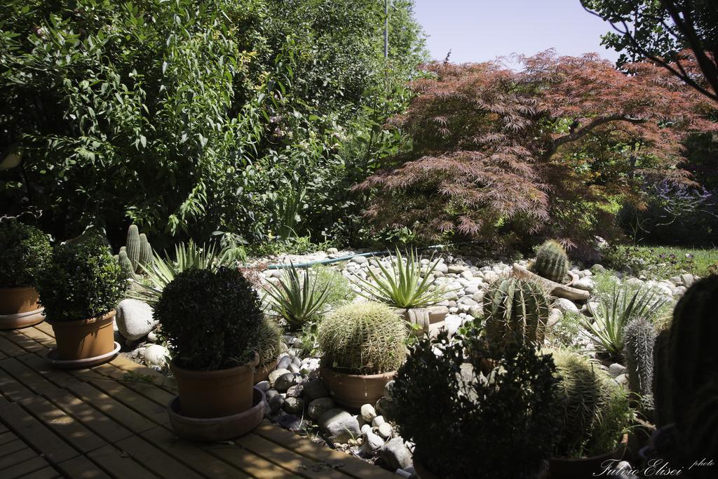 Teapot House Bed & Breakfast Perugia Exterior photo